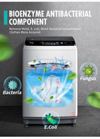 Solution de nettoyage de toilette domestique Comprimés effervescents faciles à enlever Comprimés de nettoyage solides jetables pour machine à laver