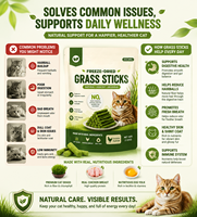 OEM 60g Bâtonnets de Gazon pour Chat Lyophilisés Comestibles, Jouet à Mâcher pour Chats, Friandises pour Chats pour le Nettoyage des Dents et l'Élimination des Boules de Poils