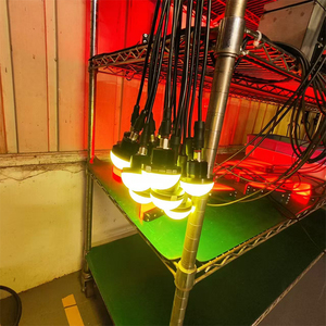 Chất lượng cao CNC máy chỉ Số đèn LED làm việc thiết bị ánh sáng cảnh báo - Product Image 4