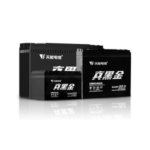 Batería de Plomo-Ácido VRLA Tianneng TNE12-15 TNE12-25 TNEH12-27 TNEP12-28 6-DZF-20 12V48V 12Ah 20Ah 52Ah para Bicicletas Eléctricas y Scooters, OEM CE - Product Image 6