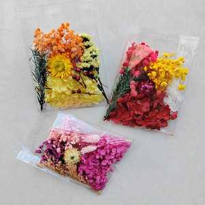 All'ingrosso materiale fai da te prezzo a buon mercato fiori in resina secca reale naturale fiori secchi pressati per l'arte della resina e candele profumate che fanno - Product Image 1