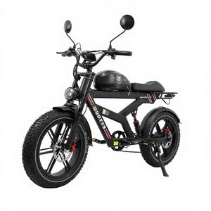 Vélo électrique avec moteur de moyeu arrière F20, frein à disque, batterie extra-large 48V 27Ah, livraison gratuite dans 25 pays d'Europe - Product Image 2