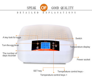 HHD 56 <strong>Eggs</strong> Full Automatic <strong>Fertilized</strong> Chicken <strong>Egg</strong> Incubator for <strong>Sale</strong> - Product Image 6
