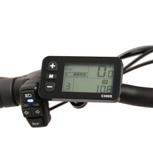 Bicicleta eléctrica plegable de 500W, 48V, cuadro de aluminio, llantas gruesas de 20 pulgadas, 7 velocidades, freno de disco, con portaequipajes, neumáticos gruesos premium. - Product Image 6