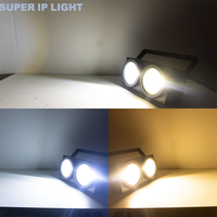 Projecteur LED IP66 étanche 2 yeux 2x300W RGBA+WW 5-en-1 avec effet CTO tungstène linéaire pour événements extérieurs, concerts et scènes (Blinder)
