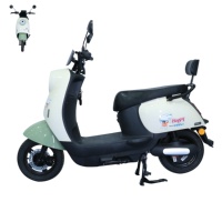 Bici elettrica aperta da strada con pneumatico a 14 250 bicicletta elettrica a 2 ruote con sistema di batterie al piombo
