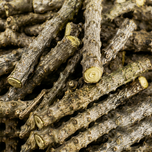 Tallo de Giloy Crudo – Tallo de Guduchi Natural Premium para Bienestar Ayurvédico y Herbal - Product Image 1