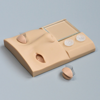 LashPlus – Mannequin multifonctionnel avec des paupières amovibles, pour s'entraîner à l'extension des cils du visage, Kit de moulage de la tête