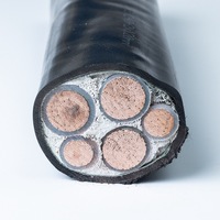 Mehradriges XLPE-Stromkabel Flexibler Kupferleiter PVC Flammhemmend YJVR 3x35mm2 +x2*25mm2 Niederspannungs-Stromkabel