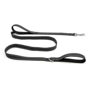 Laisse pour chien en nylon souple à double poignée avec surpiqûres réfléchissantes, style simple pour l'entraînement - Product Image 2