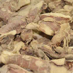 Esencia de Raíz de Galangal Picante y Revitalizante con Soporte Digestivo para Cocina Asiática y Mezclas de Aromaterapia - Product Image 1