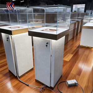 Glass <strong>Display</strong> <strong>Cabinet</strong> <strong>with</strong> Lock and <strong>LED</strong> <strong>Lighting</strong> for Valuables - Product Image 6