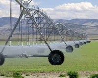 Système d'irrigation à pivot central en acier galvanisé robuste pour 100 hectares, agriculture, vente directe d'usine
