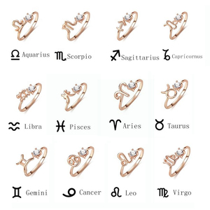 KN0605 ~ KN0616 ciondolo zodiaco collana in argento sterling 925 14K placcato oro Monedas Plata Coin 12 oroscopo - Product Image 5