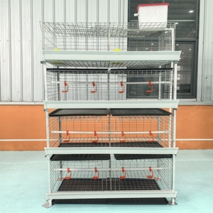 กรงดักสัตว์แบบ H กรง3/4ชั้น60/80นกไก่เนื้อพร้อมที่ป้อนเครื่องดื่มและมูลสัตว์สำหรับไก่เนื้อสำหรับนก1000 - Product Image 2