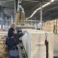 Ensemble de portes modernes en bois plaqué bouleau LVL avec cadre en peuplier et pin, contreplaqué mélaminé E0, écologique, première qualité