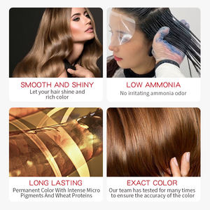 自社ブランドプロヘアスタイリング製品カバーグレーホワイトカラー染料永久低アンモニアヘアカラークリームサロン用 - Product Image 2