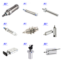 CH99P014.800.2 P119295 Pneumatikzylinder, 14 mm Bohrung, 800 mm Hub, doppeltwirkend, aus Aluminiumlegierung, mit integriertem Magnet, Ersatzteil