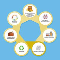 Paille PHA jetable biodégradable avec logo personnalisé Paille PHA de qualité alimentaire