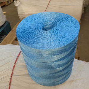 Bon marché <span class=keywords><strong>Prix</strong></span> PP Corde Split Film PE Pp Raphia Presse <span class=keywords><strong>Ficelle</strong></span> pour Foin Herbe Reliure pour Liaison Plantes Emballage Tomates Bananes - Product Image 1