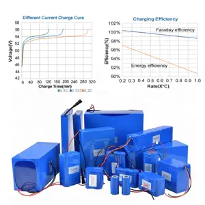 48V 10Ah 13S3P 18650 Rechargeable Li-ion Battery Customized 24V 36V 48V 10Ah 20Ah 25Ah Scooter Lithium Battery Pack