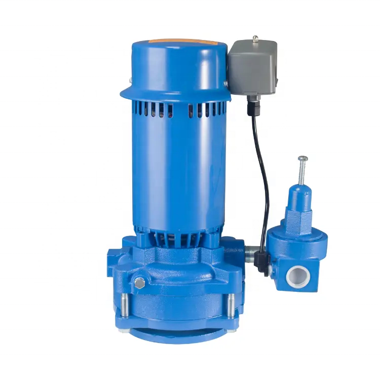 JARDEASY 60HZ Goulds SJ10 pompa a getto verticale per pozzi d'acqua profonda, 1 HP, monofase, 115/230 V