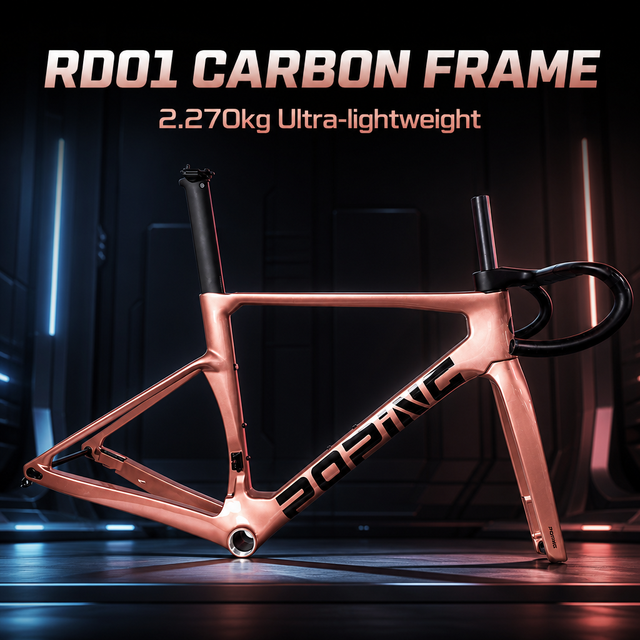 RD01 Full Carbon Road Bike Frame