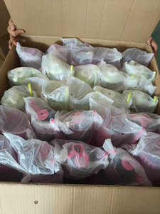 Venta al por mayor de vasos de agua deportivos para exteriores con pajita, de gran capacidad y colores vibrantes, para niñas, de PT Wholesale - Product Image 5