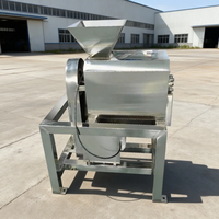 Commerciële hoogproductieve mango-kersen-passievrucht sapcentrifuge/pulper/extractor machine JL-500 380V motor 1500W fruitverwerking