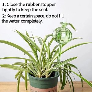 Produits de jardinage à domicile en verre de qualité supérieure, machine d'arrosage automatique pour <span class=keywords><strong>cactus</strong></span>, machine d'arrosage automatique pour jardinage à domicile, système d'arrosage goutte à goutte - Product Image 5