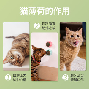 Juguete Interactivo para Gatos con Bola Giratoria de Catnip para Limpieza Dental, Color Sólido QW222 - Product Image 2