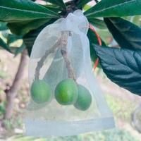 Anti-insectennetten fabrikanten leveren voor boomkwekerijen fruitboomvliegennetten van de beste kwaliteit fruitboomhoezen