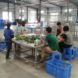 Quality Certification Herb Drying Room Tangerine Peel Drying Oven Room Tangerine Peel Dehydrator Equipment - Product Image 2