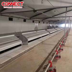 Système d'élevage avicole automatique grande capacité pour l'élevage au sol, avec ligne de cages de pontage pour poules pondeuses - Product Image 4