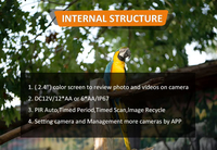 Keepguard GSM Cellular Online Timelapse Hunting Camera avec APP 30MP 1080P No-glow 4G Wildlife Camera