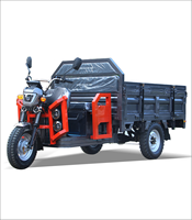 Camion à benne basculante électrique bon marché de déchargement automatique de tricycle de Tuktuk de cargaison populaire pour l'Asie Afrique Amérique du Sud usine directe à vendre