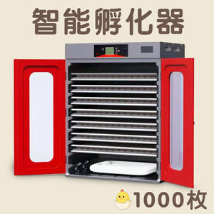 ROCKY Nouvel incubateur industriel pour l'élevage de poussins de ferme, une machine trois fonctions, écran LCD, incubateur d'œufs à usage commercial - Product Image 2