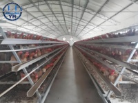 Meilleur prix pour une structure en acier préfabriquée pour poulailler et équipement avicole en structure métallique