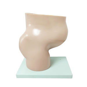 Anatomie populaire enseignement médical organes génitaux anatomiques en plastique 4 pièces grossesse humaine 3e mois modèle de Section du bassin féminin - Product Image 6