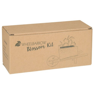 Kit de culture de fleurs en mini chariot à main en bois avec logo personnalisé, style vintage rustique, pour jardin, cadeau promotionnel mignon, vente en gros - Product Image 4