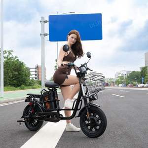 Disiyuan usine Fat Ebike Kiti rapide 250w 20 pouces cadre en acier Cargo Bike électrique Cargo Bike - Product Image 2