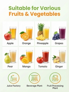 เครื่องสกัดน้ำผลไม้แบบกดเย็นอุตสาหกรรม, เครื่องคั้นน้ำผลไม้แบบลูกกลิ้งหลายขั้นตอนสำหรับลูกแพร์ แอปเปิ้ล ส้ม - Product Image 4