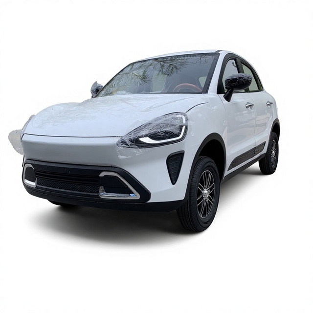 Nuen Electric Four Wheeler SUV 5-door 5-seater 3.5kW High Power 50km/h Top Speed 80-201km Long Range Lead Acid New Energy