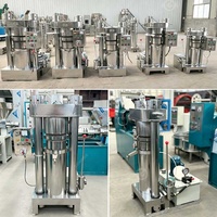 Prensa Hidráulica para Extracción de Aceite en Frío de Moringa, Oliva, Cacao y Girasol