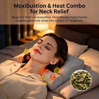 Coussin ergonomique en mousse à mémoire de forme pour le dos et le cou, coussin de soutien lombaire 2-en-1 pour canapé, voiture, lit, soulagement orthopédique des douleurs lombaires