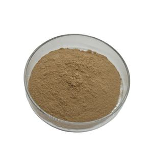 <span class=keywords><strong>Arctostaphylos</strong></span>/Poudre d'acide ursolique Extrait de feuille de busserole Extrait de feuille d'Uva Ursi - Product Image 2
