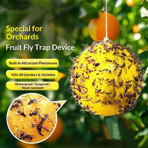 Trampa Adhesiva de Plástico para Control de Moscas en Exteriores, para Moscas de la Fruta, Hormigas e Insectos del Césped - Ecológica y Desechable - Product Image 4