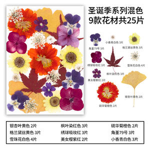25 unidades/paquete bolsa combinada de flores prensadas - Product Image 6