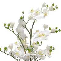 Oh Arts Plantes d'orchidées artificielles de qualité supérieure, orchidées réalistes au toucher réel dans un vase en ciment, orchidée Phalaenopsis blanche réaliste