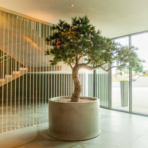 Tùy chỉnh trong nhà cảnh quan ngoài trời dự án thân cây lớn cây nhân tạo cây thông già, cây liễu giả cây phong giả - Product Image 6